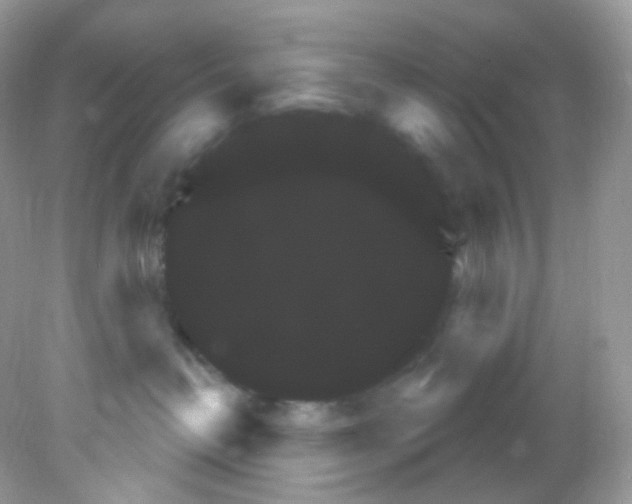 X0000081620382200701291459