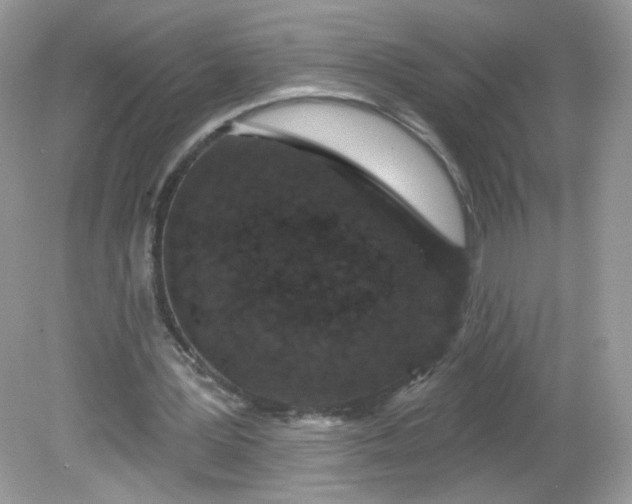 X0000081620387200701291458