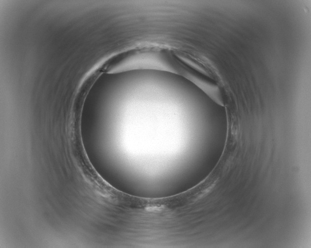 X0000081620388200701291458