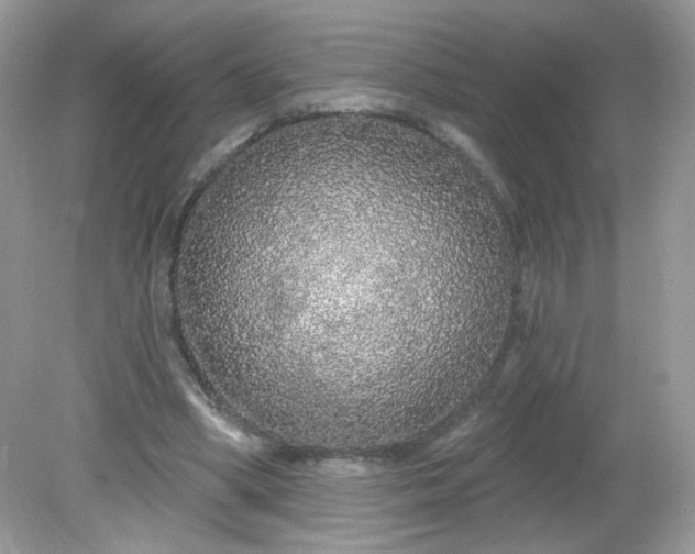 X0000081620394200701291458