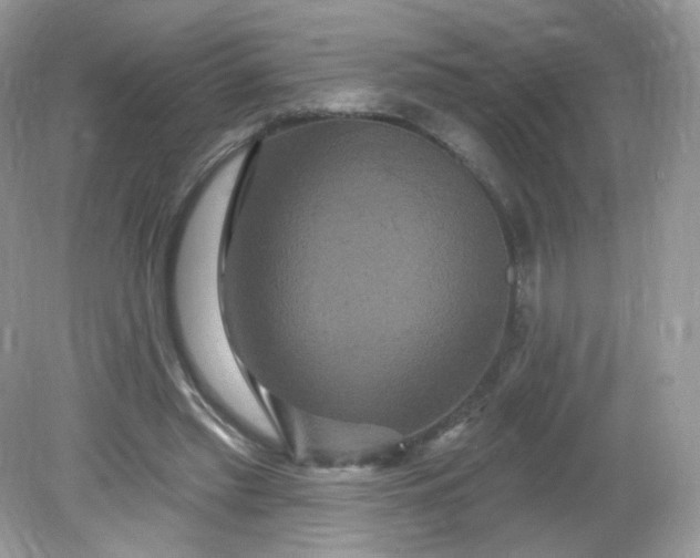 X0000081620397200701291458