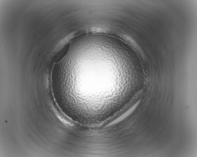 X0000081620401200701291458