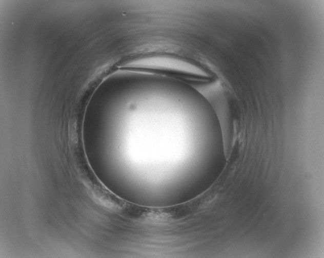 X0000081620403200701291458