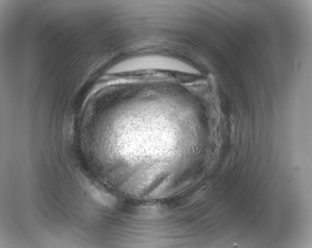 X0000081620404200701291458