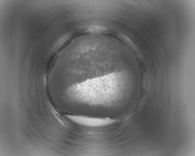 X0000081620405200701291458