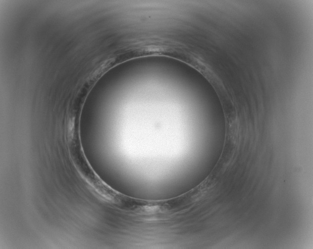 X0000081620406200701291458