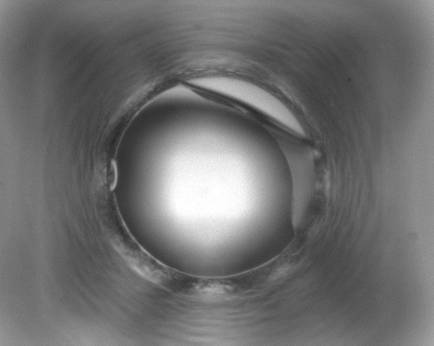 X0000081620407200701291458