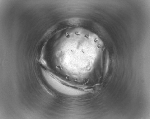X0000081620408200701291458