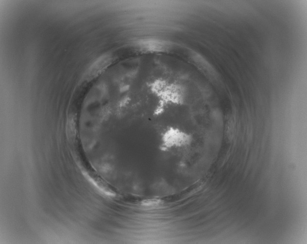 X0000081620410200701291458
