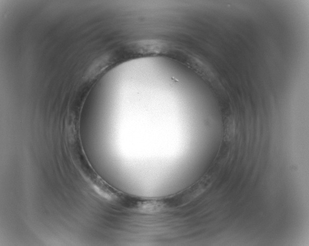 X0000081620414200701291458