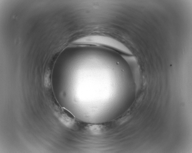 X0000081620417200701291458