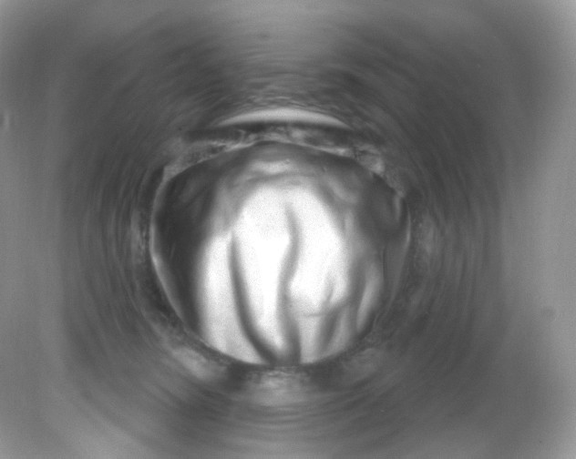 X0000081620420200701291458