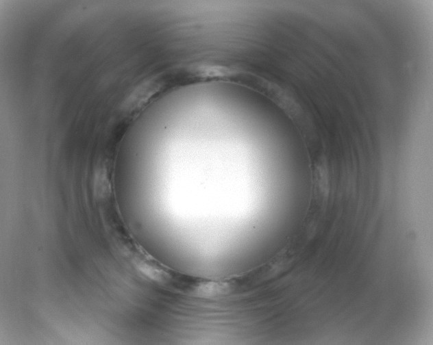 X0000081620422200701291458