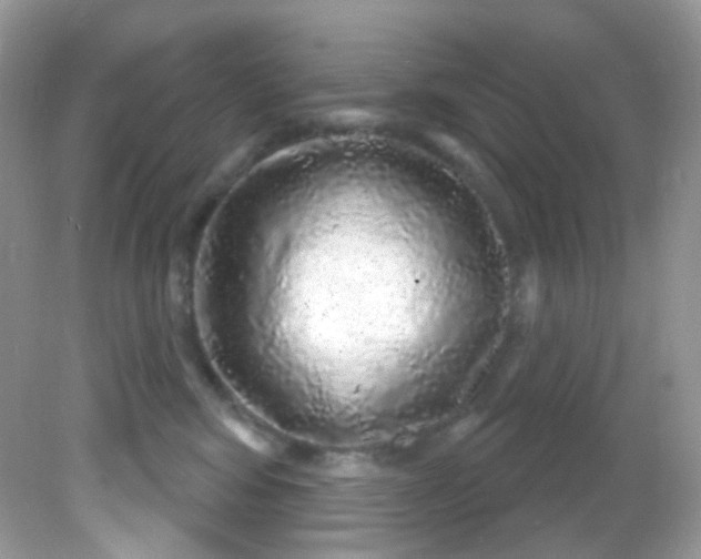 X0000081620424200701291458
