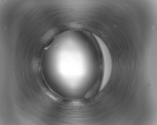 X0000081620428200701291458