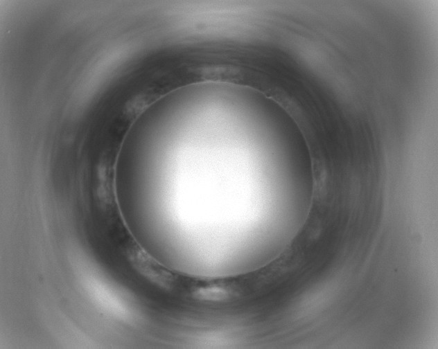 X0000081620430200701291458
