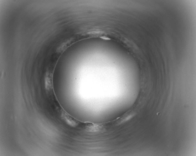 X0000081620432200701291458