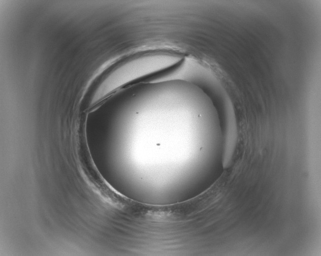 X0000081620440200701291457