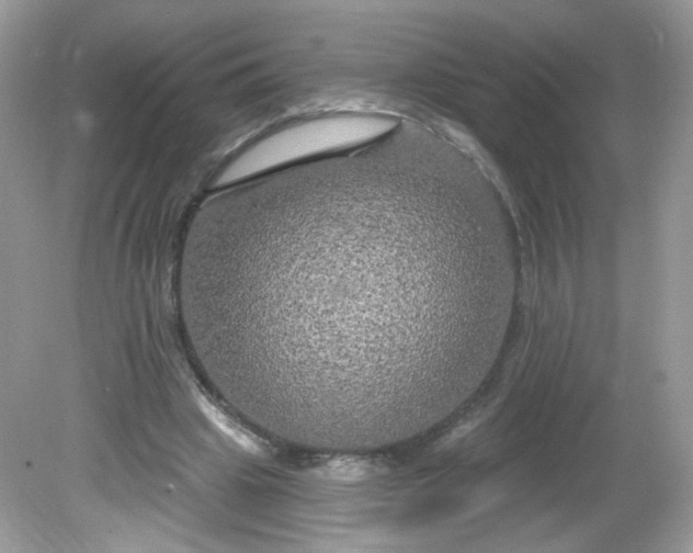 X0000081620441200701291457