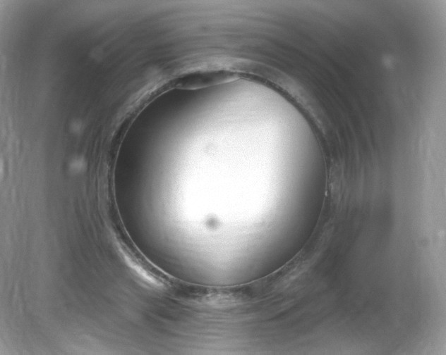 X0000081620445200701291457