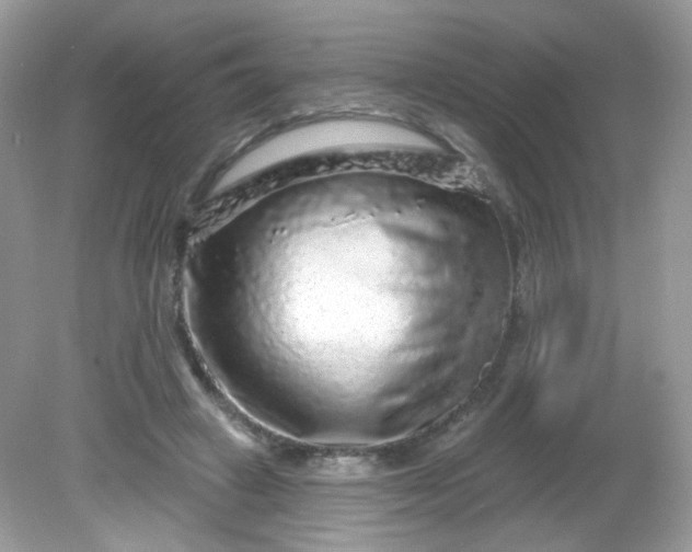 X0000081620449200701291457