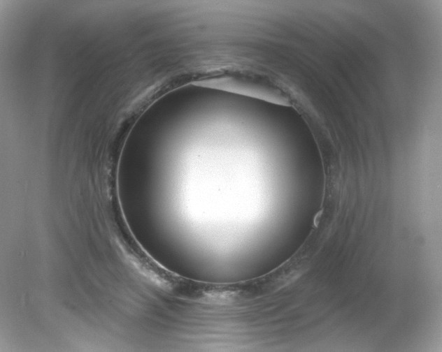 X0000081620450200701291457