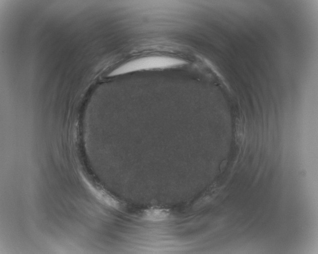 X0000081620451200701291457