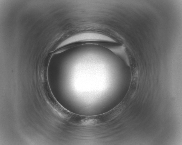 X0000081620452200701291457