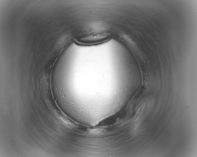 X0000081620461200701291457