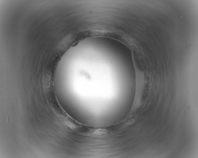 X0000081620463200701291457