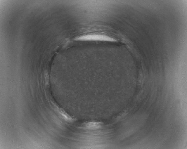 X0000081620465200701291457