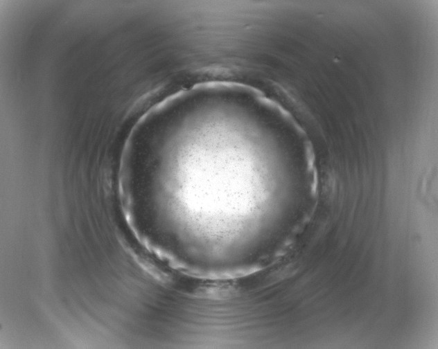 X0000081620466200701291457