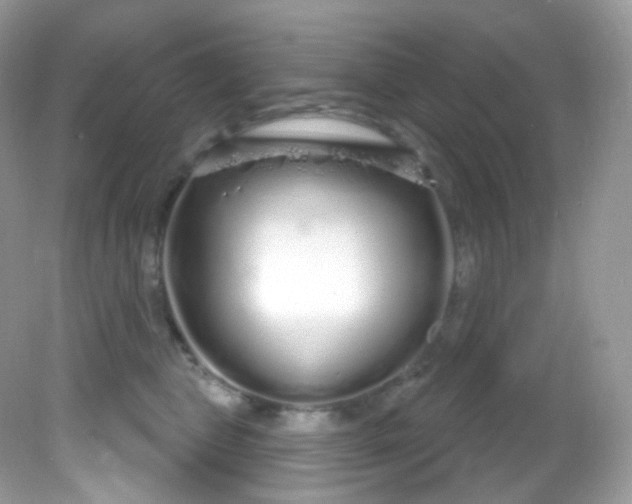 X0000081620469200701291457