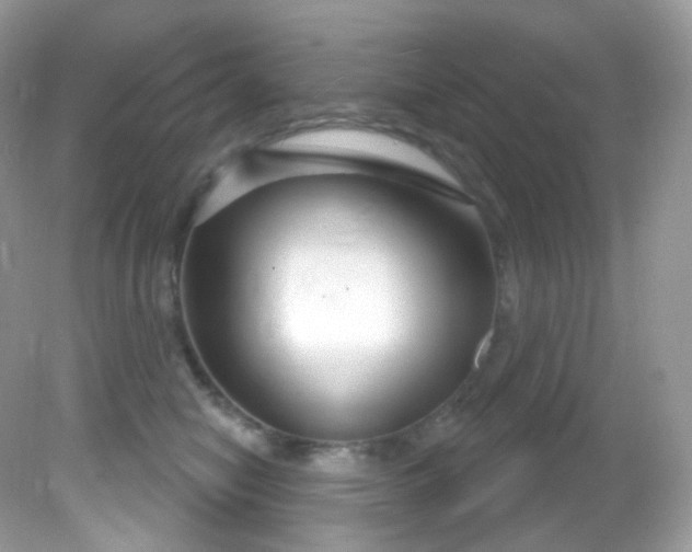 X0000081620470200701291457