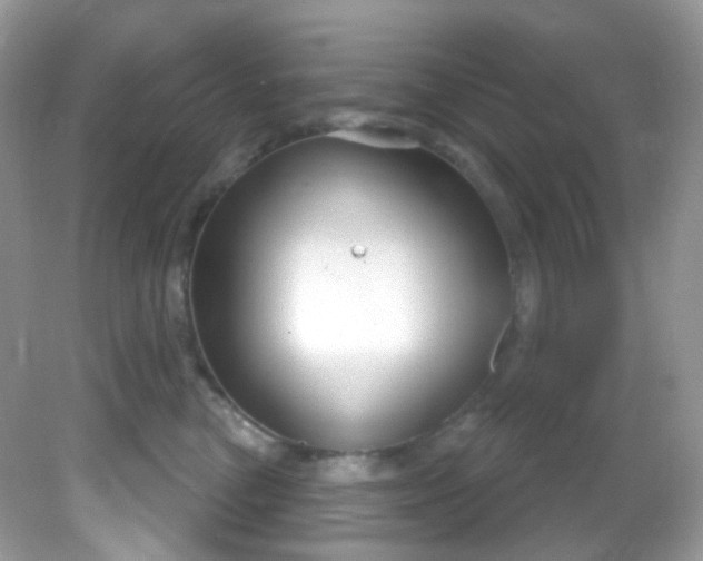 X0000081620473200701291457
