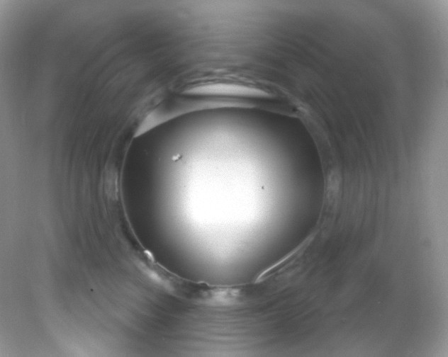 X0000081620474200701291457