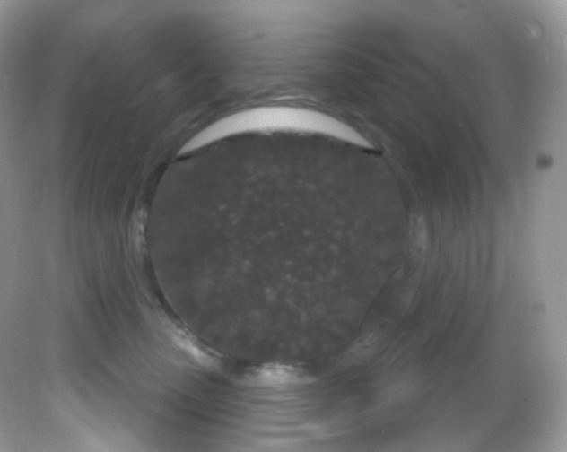 X0000081620475200701291457