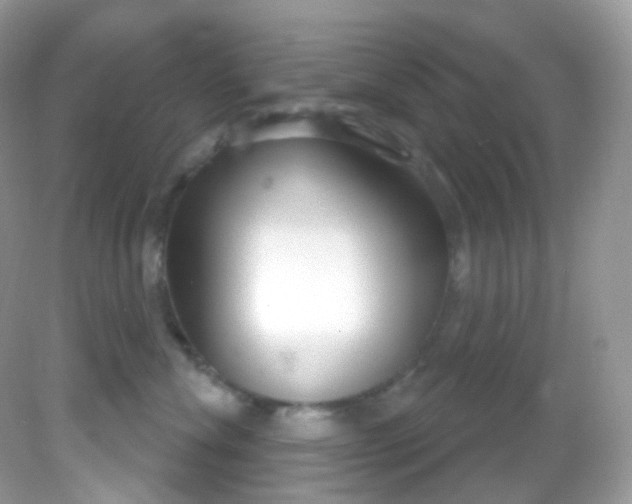 X0000081620476200701291457