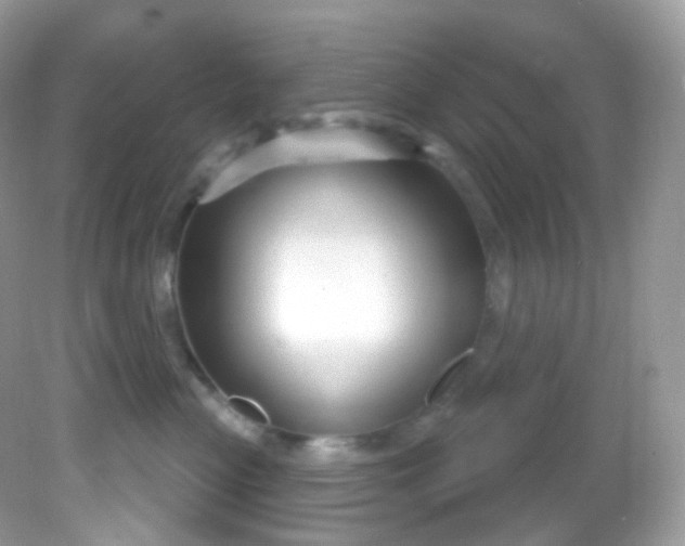 X0000081620477200701291457