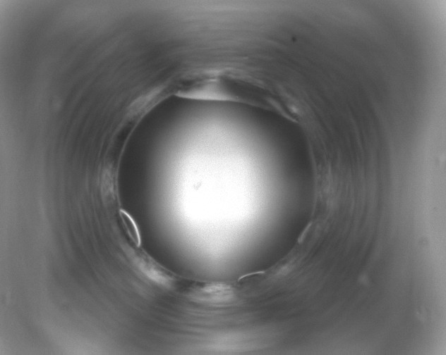 X0000081620478200701291457