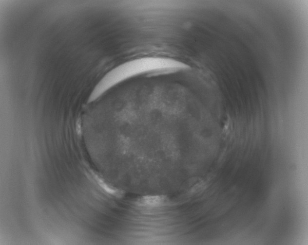 X0000081620479200701291458