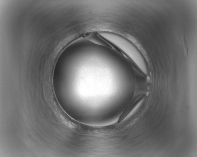 X0000081620481200701291457