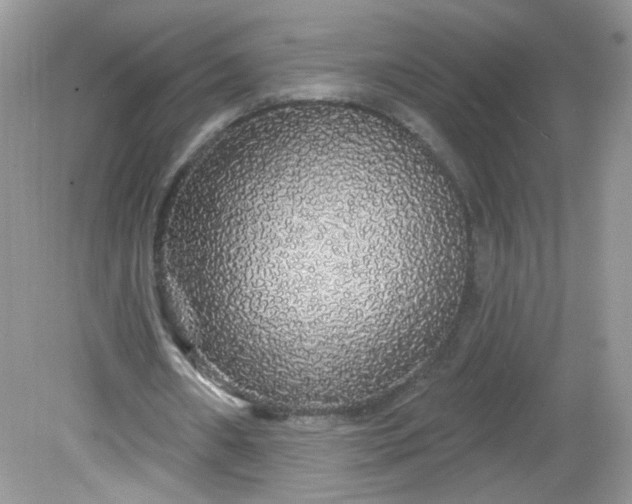 X0000081620482200701291457