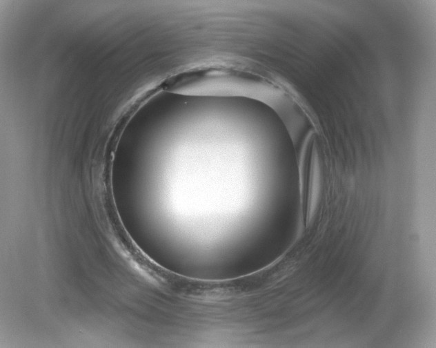 X0000081620485200701291457