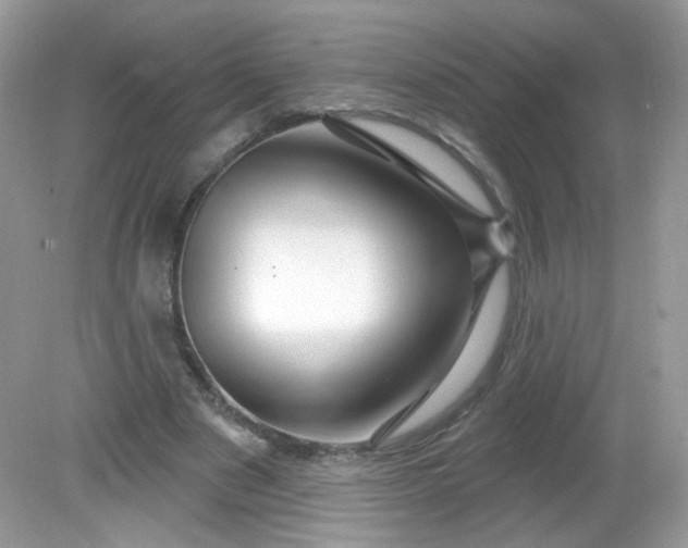 X0000081620489200701291457
