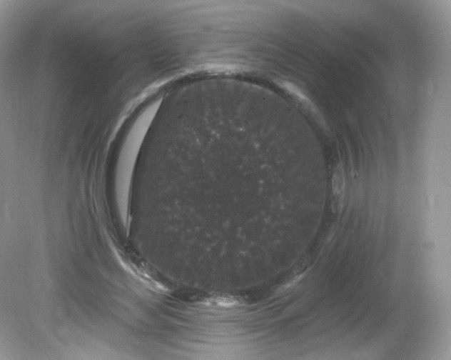 X0000081620492200701291457
