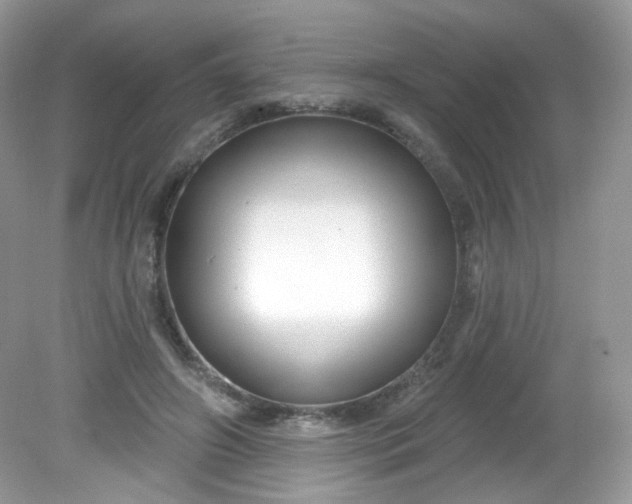X0000081620498200701291456