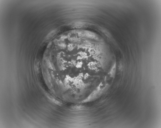 X0000081620503200701291456