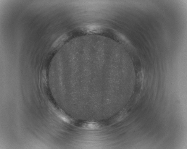 X0000081620506200701291456