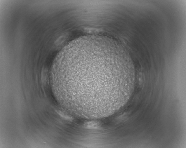 X0000081620511200701291456